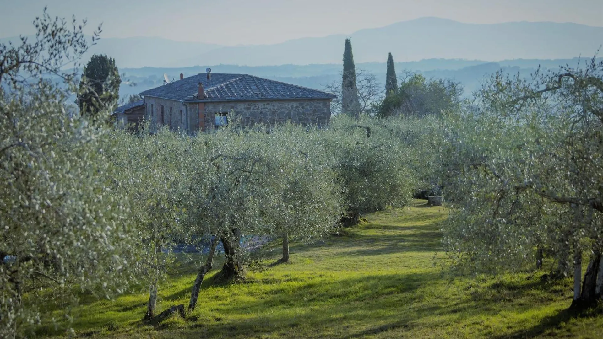 Podere Mencoini, Stylish Villa With Private Pool And Olive Garden Scrofiano