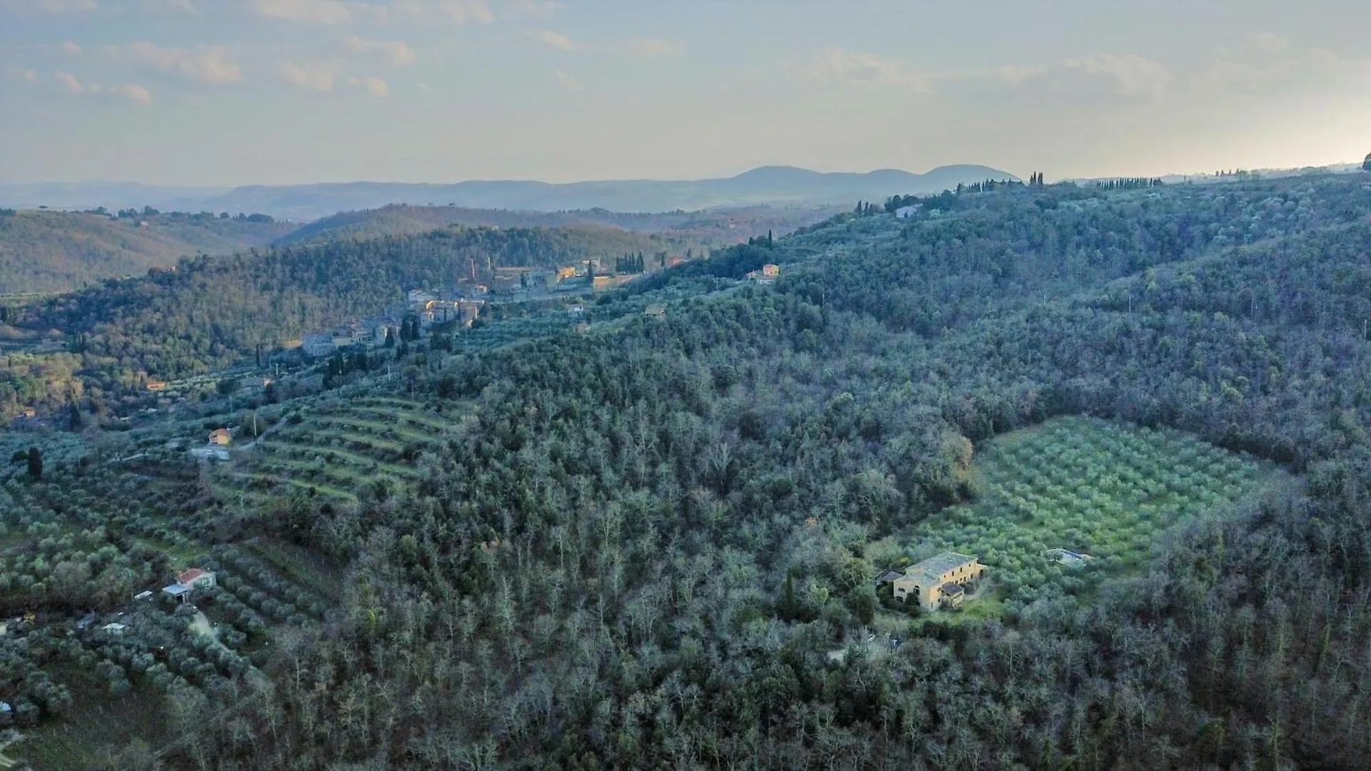 Podere Mencoini, Stylish Villa With Private Pool And Olive Garden Scrofiano