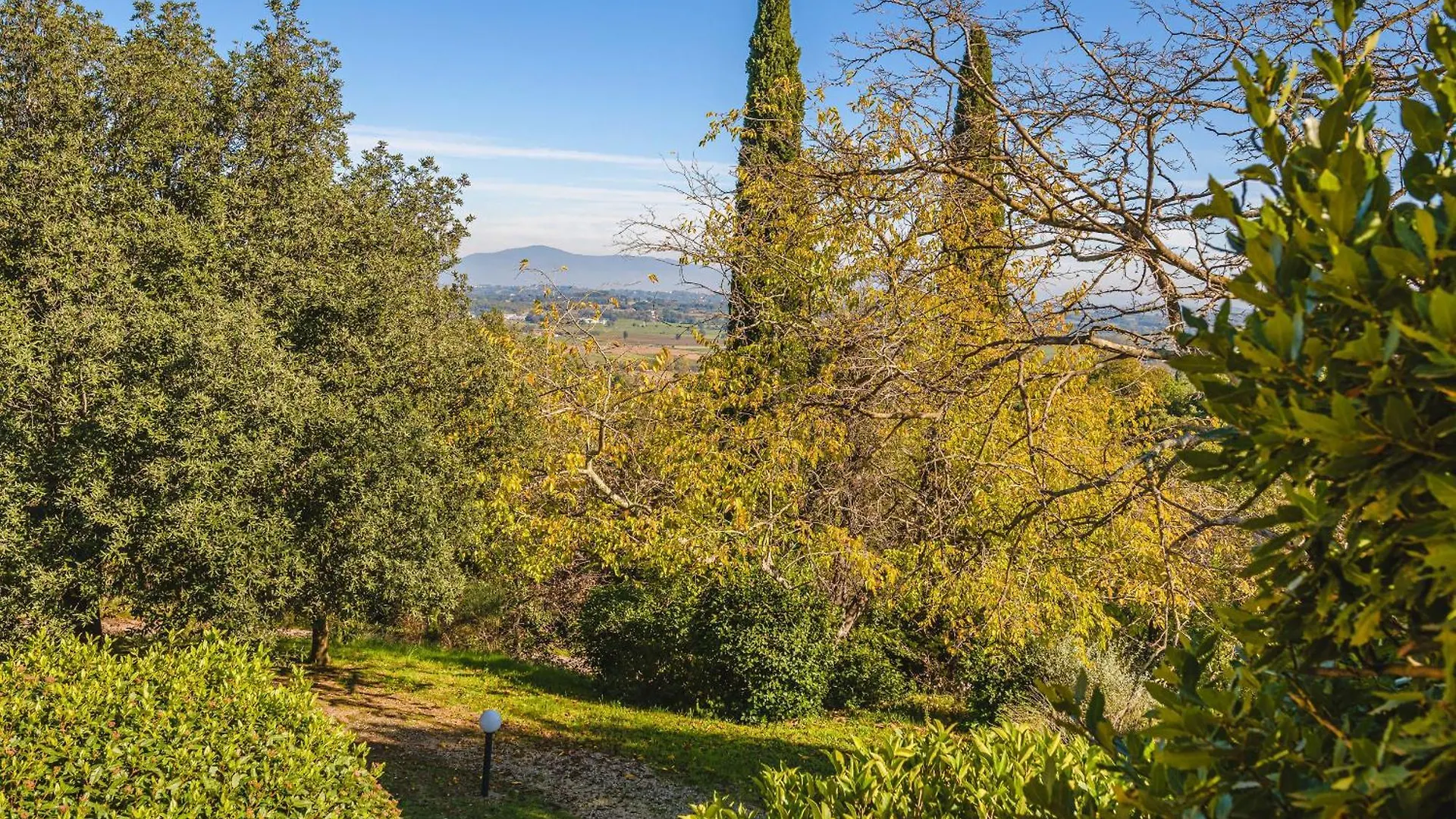 Podere Mencoini, Stylish Villa With Private Pool And Olive Garden Scrofiano 0*,  Italy