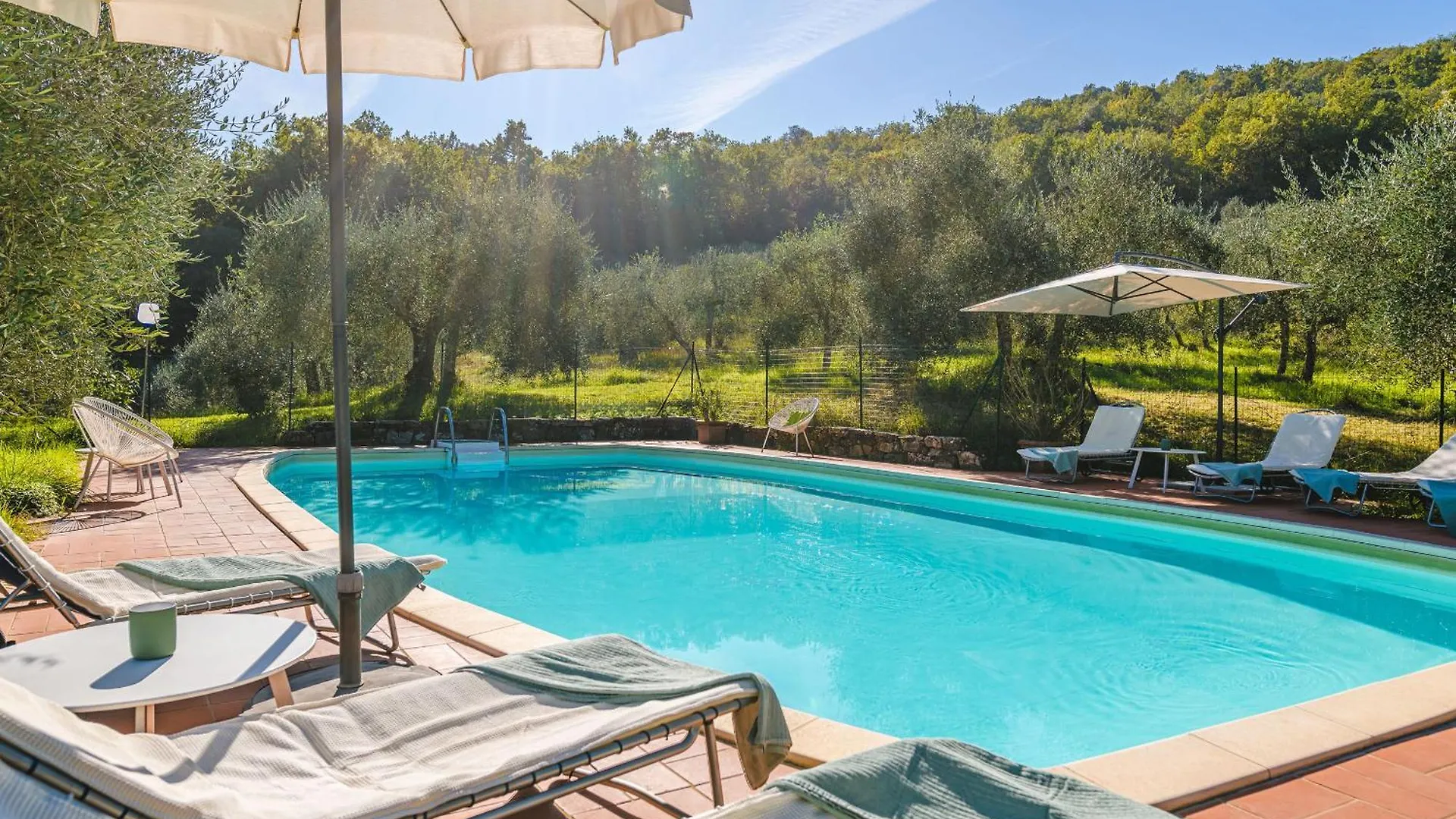 Podere Mencoini, Stylish Villa With Private Pool And Olive Garden Scrofiano Italy